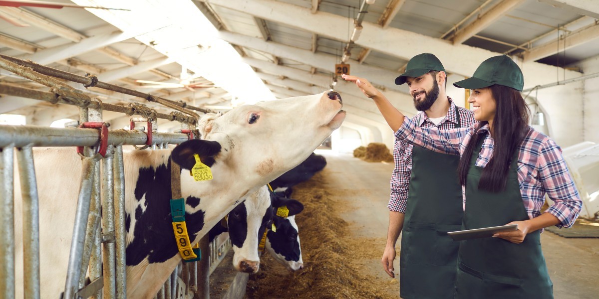 RFID technológia alkalmazása a precíziós mezőgazdaságban