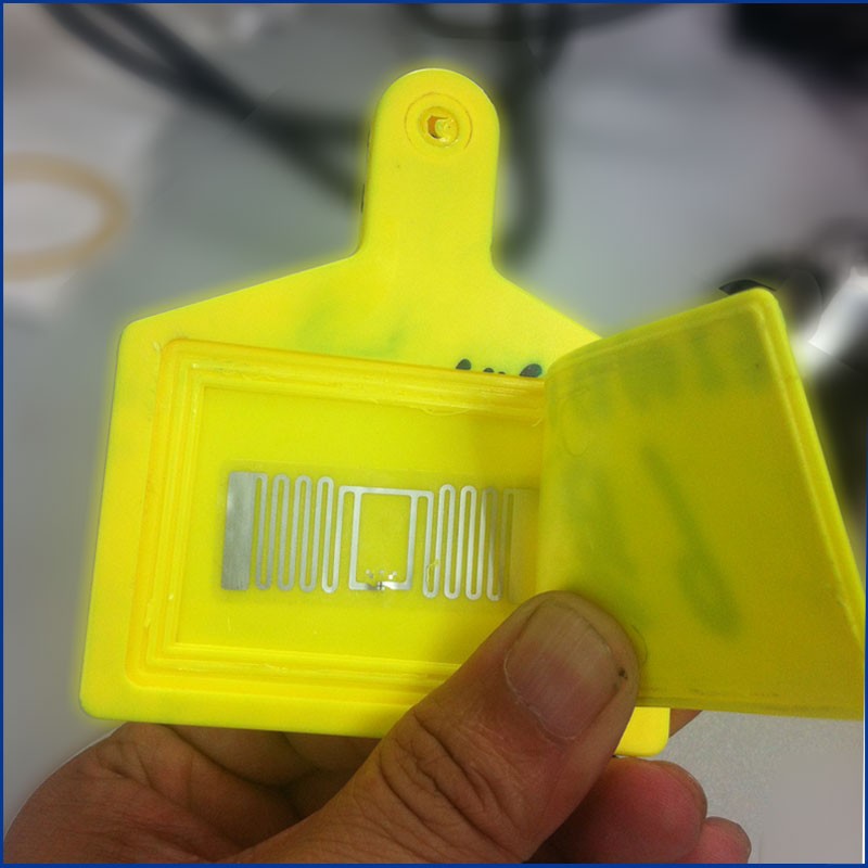 Kiváló minőségű UHF RFID állati füljelzők JT-307